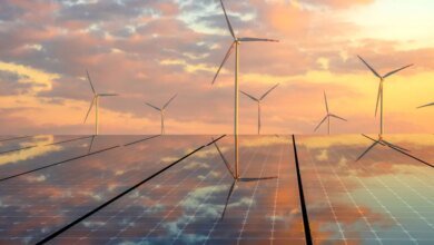 Quatro avanços positivos no cenário climático previstos para 2025