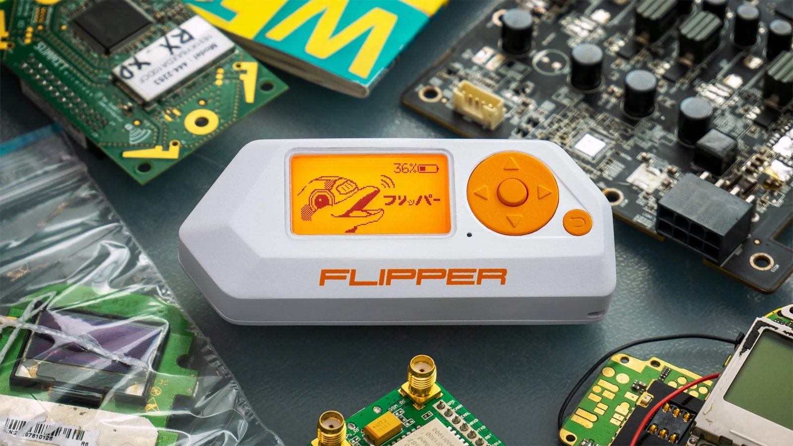 Flipper Zero Raspberry Prefeitura de Nova York proíbe Flipper Zero e Raspberry Pi na posse do ...