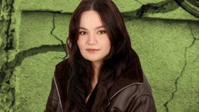 Simulações auxiliam no desenvolvimento de estruturas mais seguras