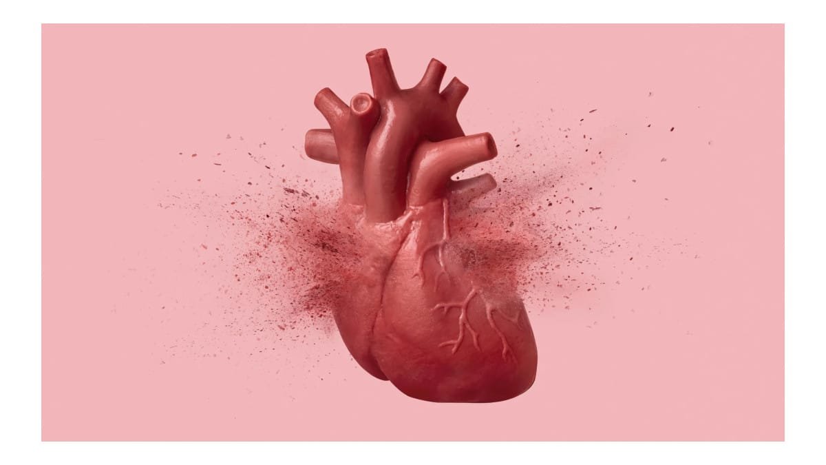 Entenda por que doenças renais aumentam o risco de problemas cardíacos