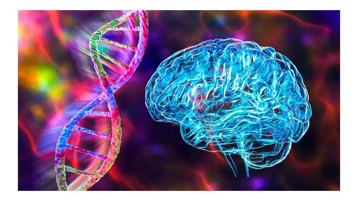 Gene específico pode estar ligado à maioria dos casos de Alzheimer