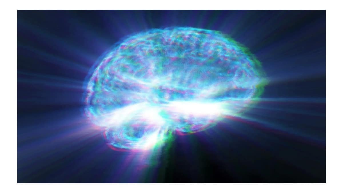 Gordura invisível no corpo pode estar ligada à redução cerebral