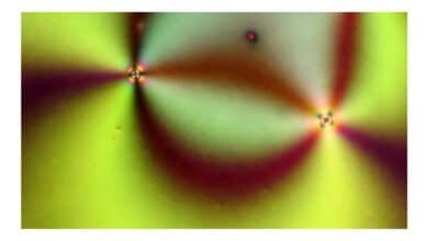 Inteligência artificial acelera em mil vezes a análise de padrões naturais