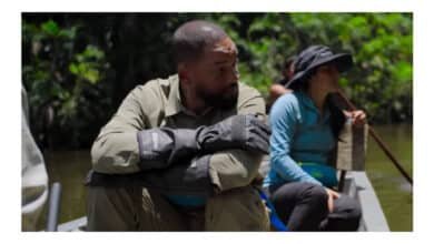 Will Smith contribui para descoberta de nova espécie de sucuri