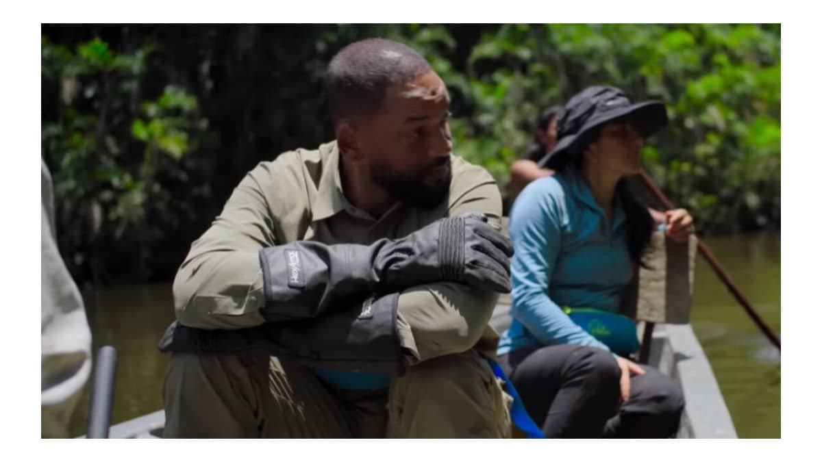 Will Smith contribui para descoberta de nova espécie de sucuri