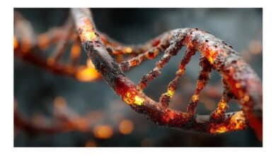 Áreas de risco para doença genética rara são identificadas na Escócia e Irlanda