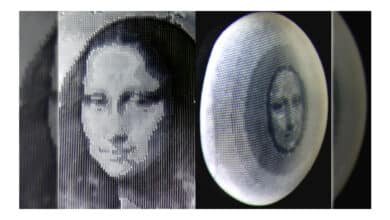 Cientistas desenvolvem pele sintética capaz de ocultar imagens e mudar de forma