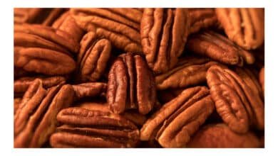 Consumo de pecãs está associado à melhora do colesterol e do coração