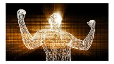 Dieta sustentável pode reduzir risco de morte precoce em até 23%