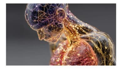 Mapa de 7 milhões de células revela como o corpo humano envelhece