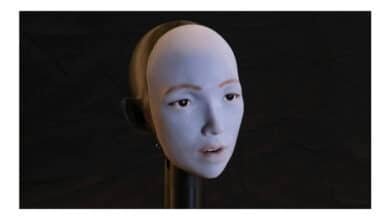 Resumo de pesquisas: confira 6 estudos recentes de destaque