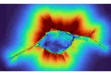 Células detectam sinais a distâncias maiores, o que pode explicar metástase