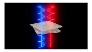 Engenheiros de Harvard desenvolvem chip capaz de manipular luz em tempo real