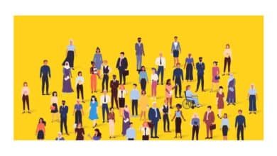 Engenheiros transformam desafios complexos em soluções compreensíveis