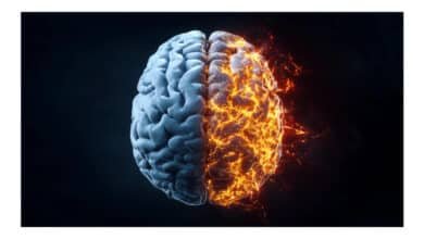 Estudo aponta que NAD+ pode retardar envelhecimento e doenças neurodegenerativas