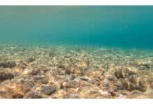 Exploração mineral em águas profundas é tema de debate científico