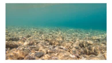 Exploração mineral em águas profundas é tema de debate científico