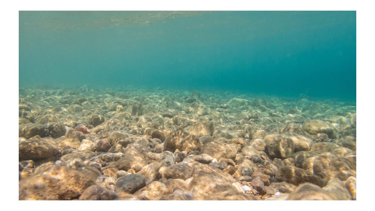 Exploração mineral em águas profundas é tema de debate científico