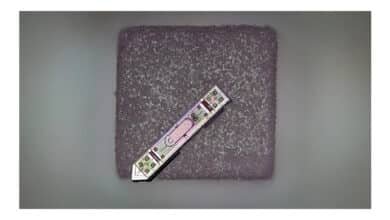 Implante microscópico é capaz de captar sinais do cérebro humano