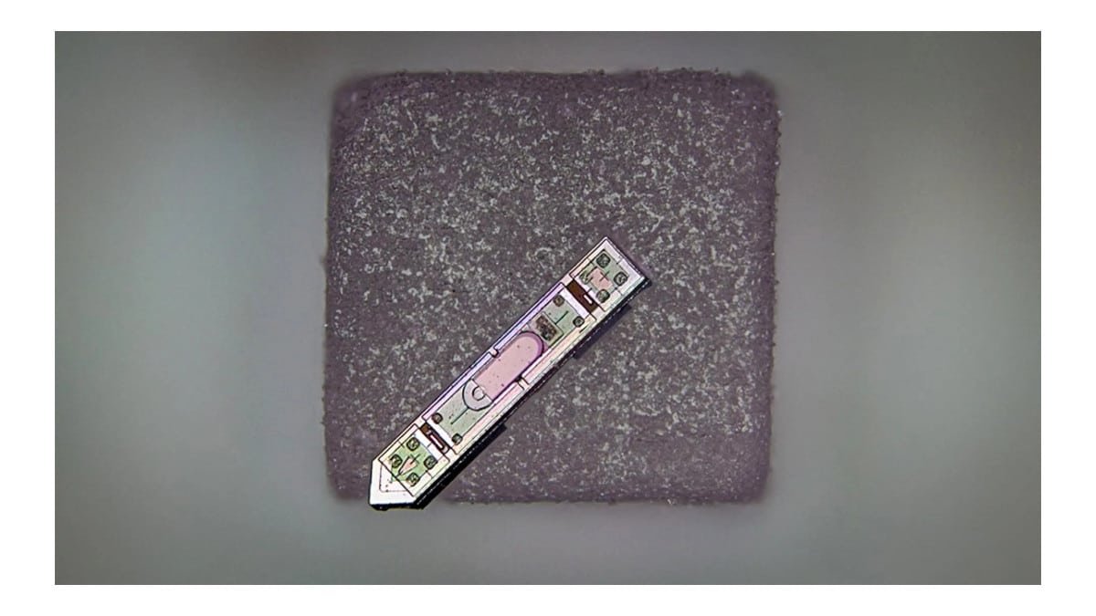 Implante microscópico é capaz de captar sinais do cérebro humano