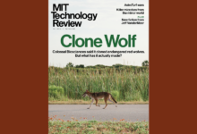 Nova edição da Nature destaca avanços e tendências científicas