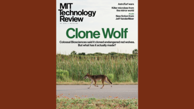 Nova edição da Nature destaca avanços e tendências científicas