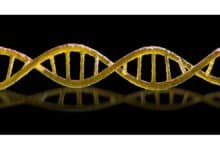 Bactérias letais imitam células e trabalhadores chineses enfrentam clones de IA