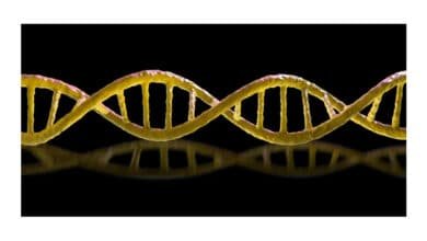 Bactérias letais imitam células e trabalhadores chineses enfrentam clones de IA