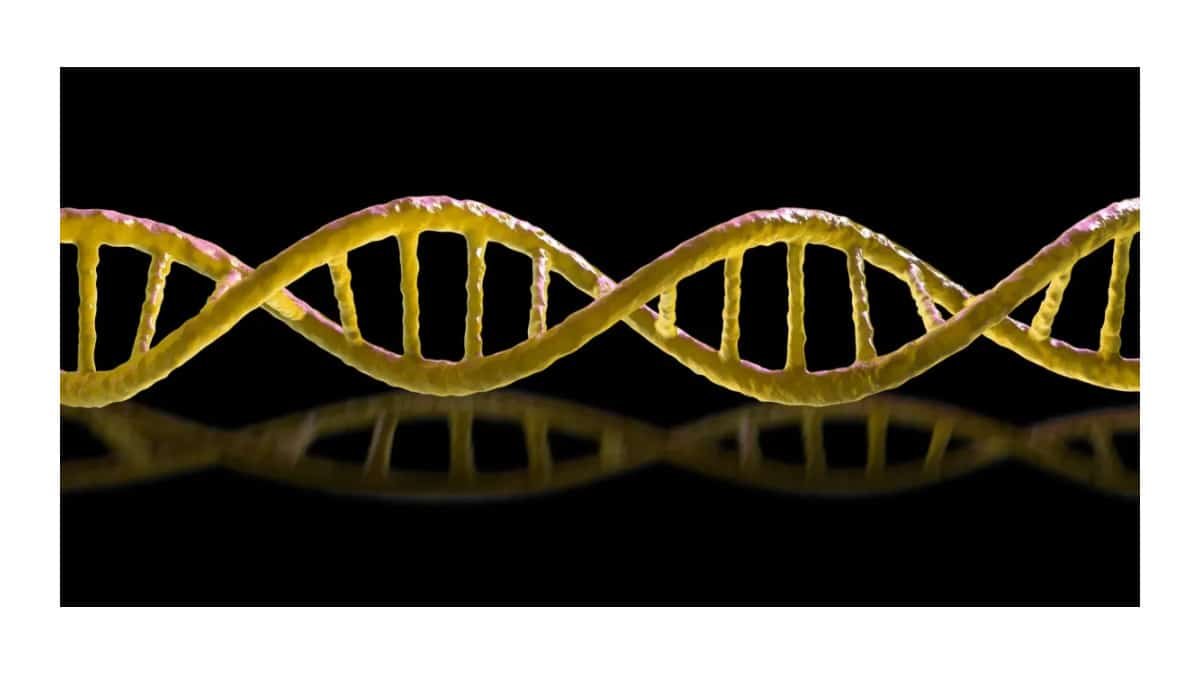 Bactérias letais imitam células e trabalhadores chineses enfrentam clones de IA