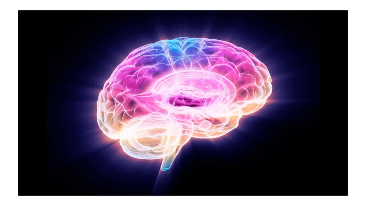 Cientistas identificam proteína ligada ao envelhecimento cerebral e sugerem forma de bloqueá-la