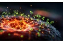 Vitamina essencial pode frear avanço de células cancerígenas