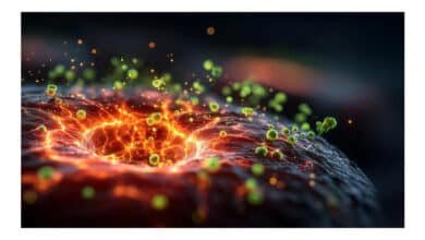 Vitamina essencial pode frear avanço de células cancerígenas