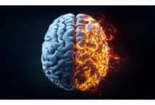 Cientistas da USC identificam novo gatilho do Alzheimer e apontam solução