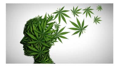 Uso de cannabis após os 65 anos: especialistas apontam 5 riscos para idosos