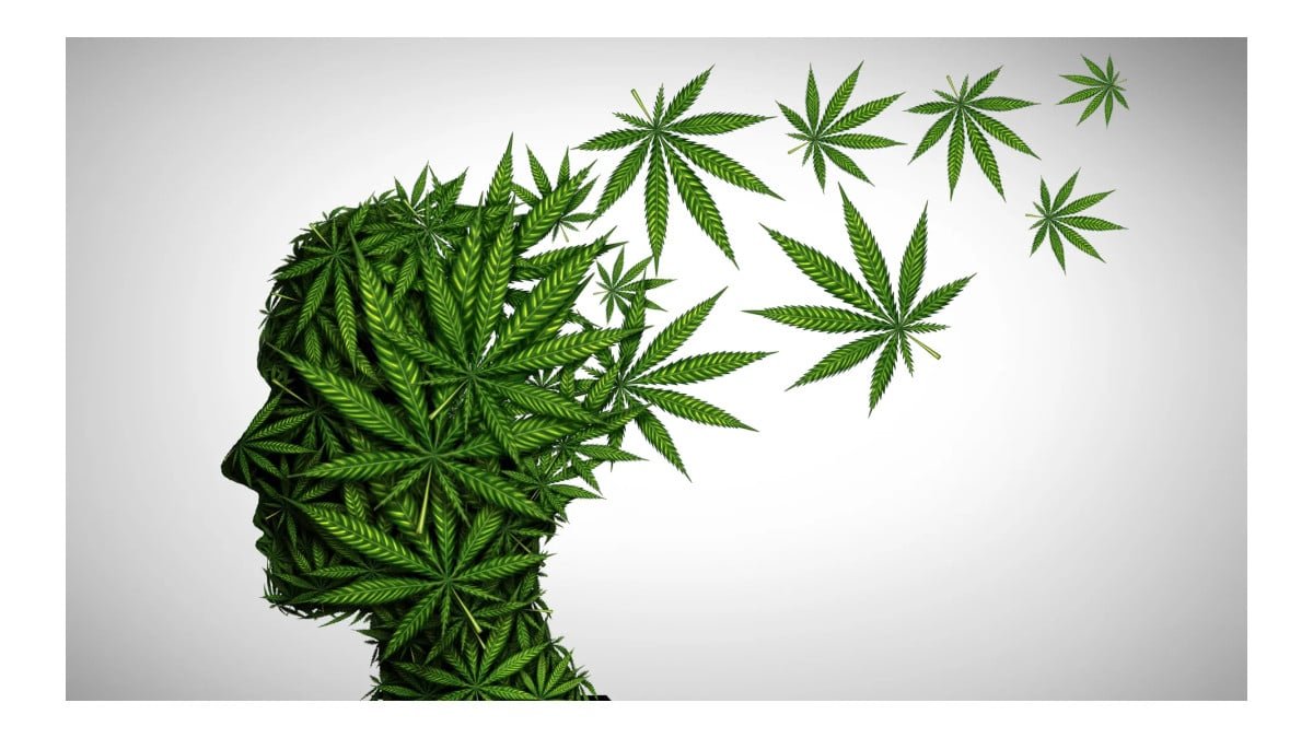 Uso de cannabis após os 65 anos: especialistas apontam 5 riscos para idosos