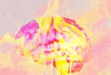 Onda de calor extremo desafia cidades enquanto OpenAI impõe novas restrições