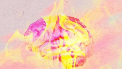 Onda de calor extremo desafia cidades enquanto OpenAI impõe novas restrições