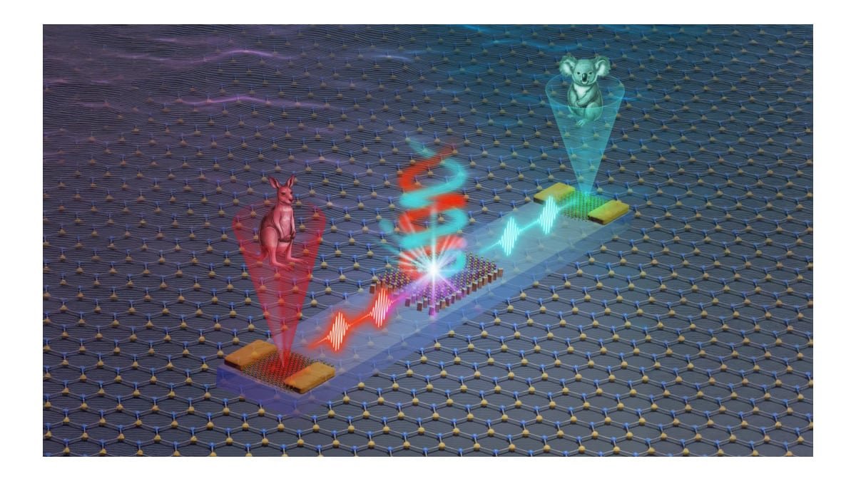 Chip movido à luz promete avanços em IA e computação quântica