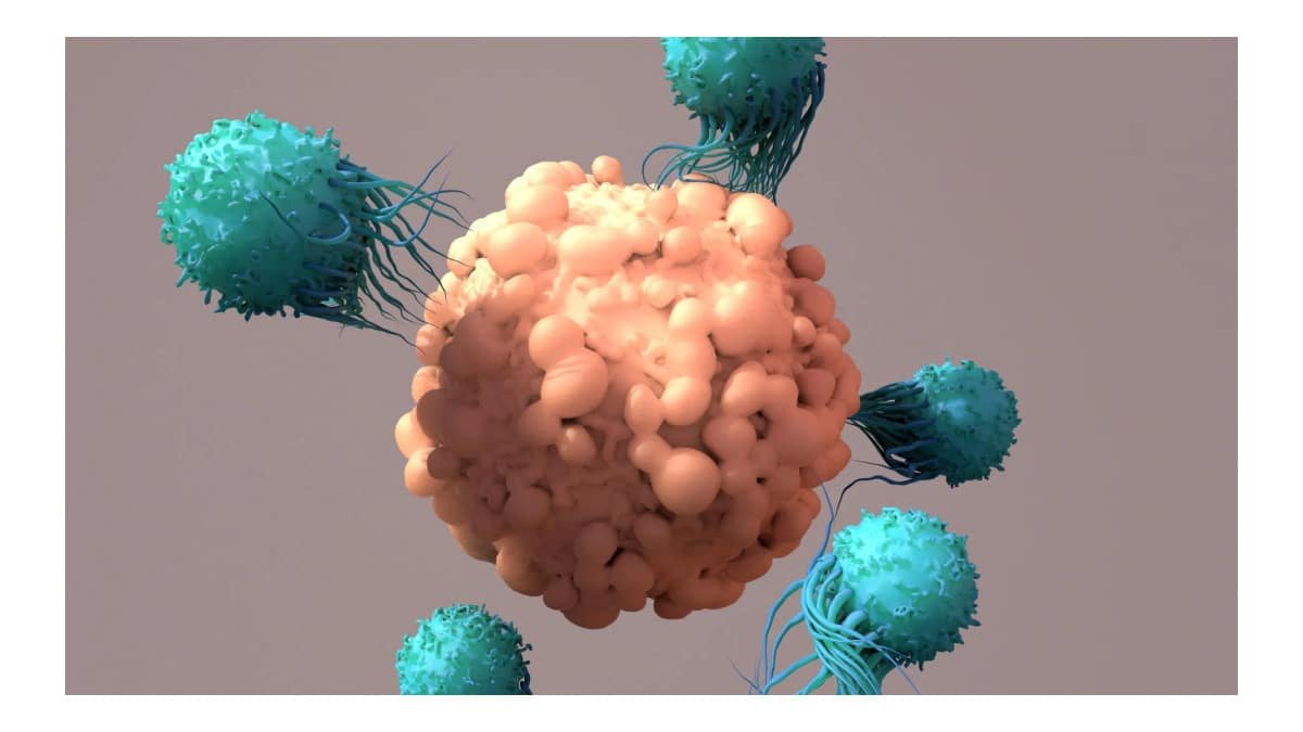 Proteína pode limitar a eficácia da terapia CAR T contra o câncer