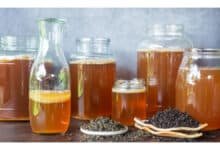 Tipo de chá no kombucha influencia sabor e propriedades da bebida