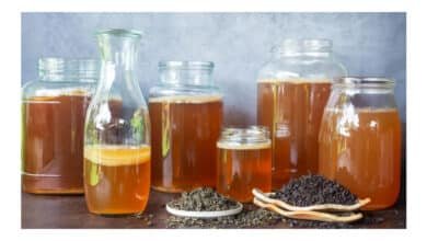 Tipo de chá no kombucha influencia sabor e propriedades da bebida