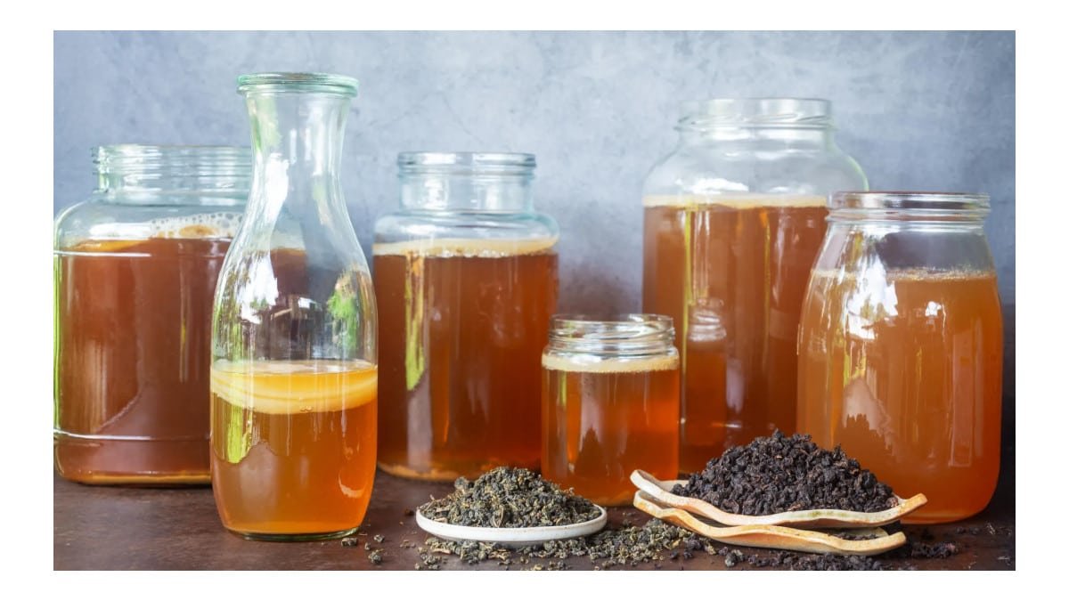 Tipo de chá no kombucha influencia sabor e propriedades da bebida