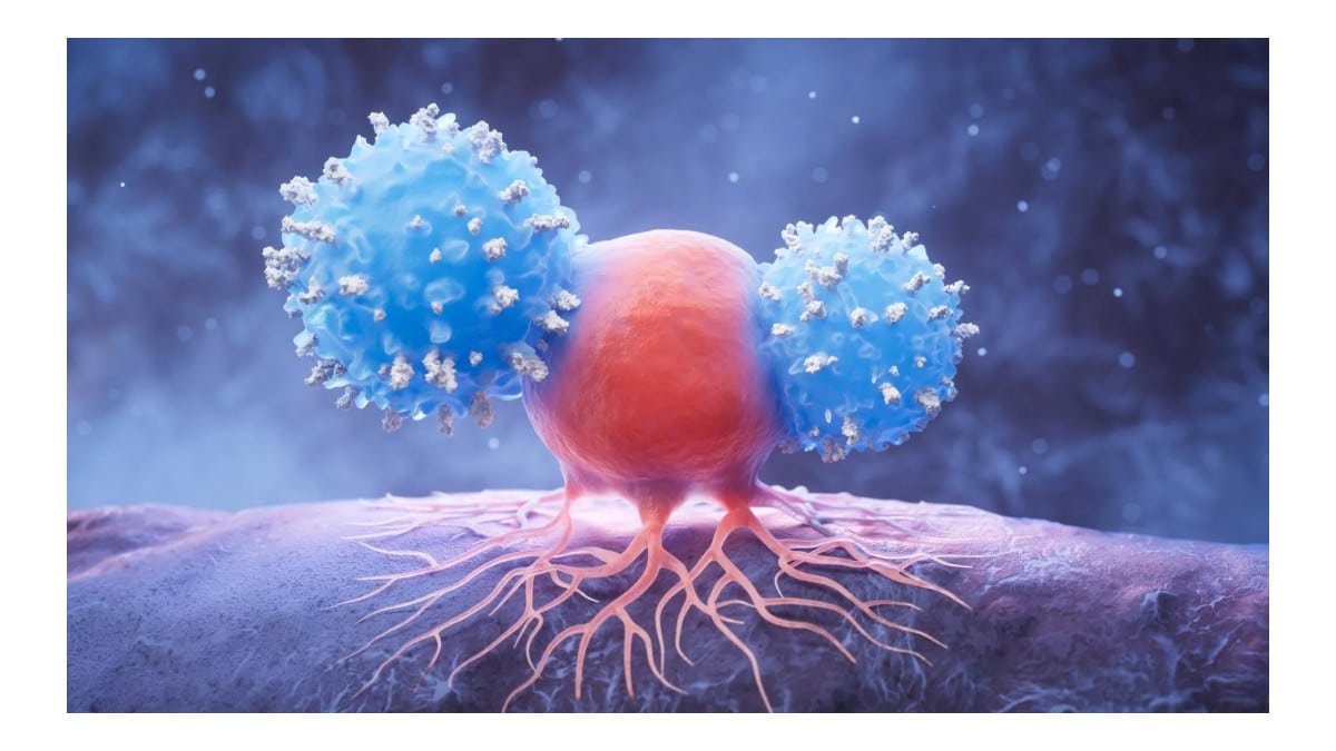 Vitamina comum mostra potencial no combate ao câncer cerebral agressivo