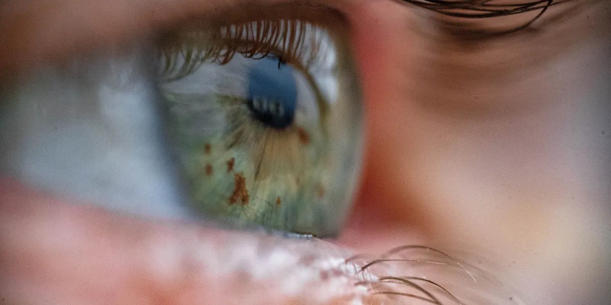 Novo dispositivo reativa olhos de doadores e pode viabilizar transplantes