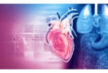 Cientistas revelam relação entre serotonina e doença nas válvulas cardíacas