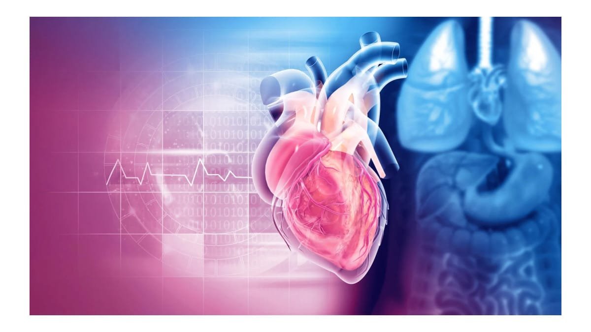 Cientistas revelam relação entre serotonina e doença nas válvulas cardíacas