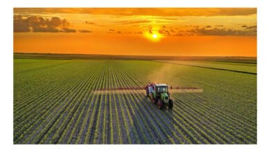 Mudança na dieta mundial pode reduzir emissões agrícolas em até 85%