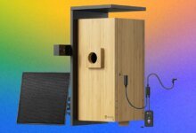 Câmera Birdfy Nest Duo transforma quintal em documentário da natureza