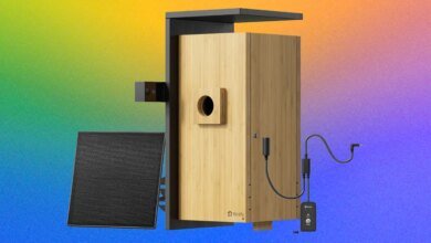 Câmera Birdfy Nest Duo transforma quintal em documentário da natureza