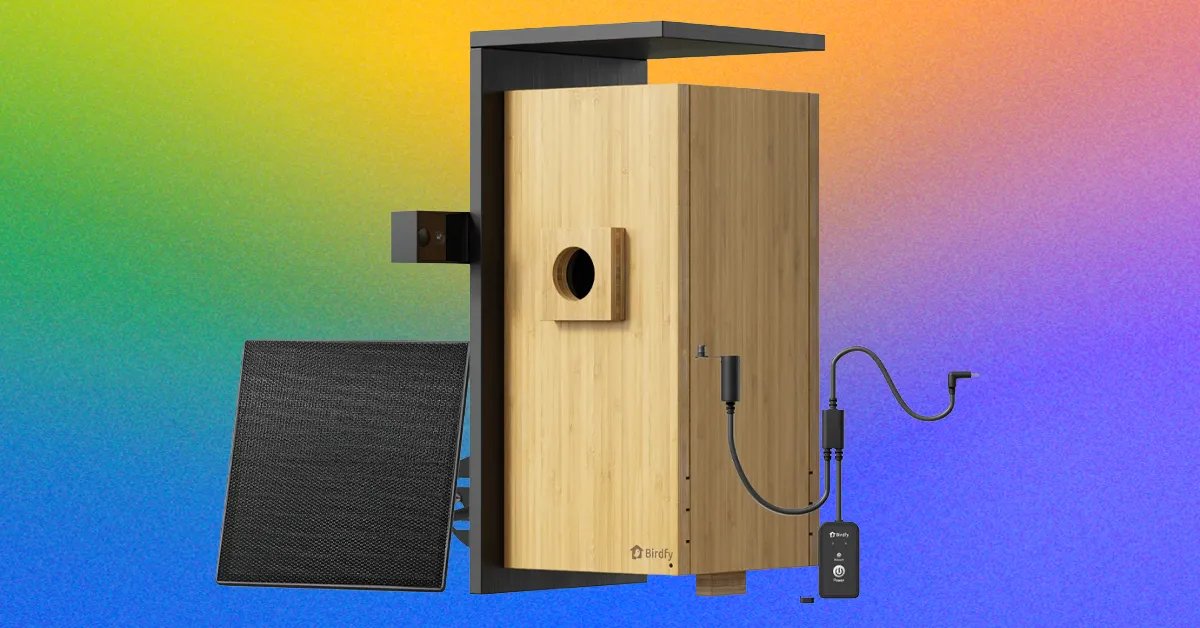 Câmera Birdfy Nest Duo transforma quintal em documentário da natureza